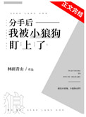 将军又在套路大总管