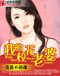 我的校花女友 叶子 小白小说封面