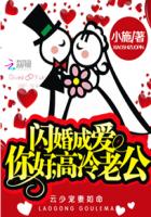 闪婚成爱:你好,高冷老公 小说