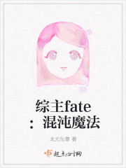 综主fate：混沌魔法小说封面