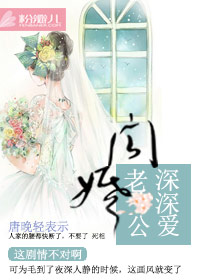 闪婚,老公深深爱你