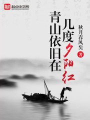 青山依旧在几度夕阳红书法作品小说封面