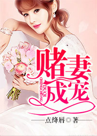 赌婚 小说