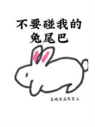 接受美学流派兴起于()