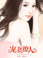 宠妻撩人小说封面
