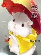 银鼠主题曲少年梦小说封面
