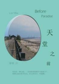 虚拟游戏中文版小说封面