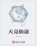 天竞仙途小说封面