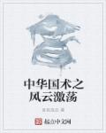 中华国术之风云激荡小说封面