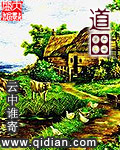稻田景观小说封面