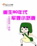 重生九十年代小军嫂