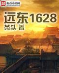 远东1628领土面积