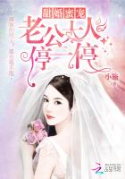 宠婚甜蜜蜜:老公大人