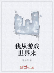 小鸡游戏世界app小说封面
