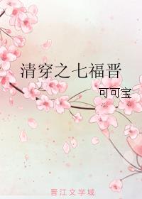 清穿之七福晋小说小说封面