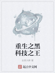 重生之黑科技之王小说封面