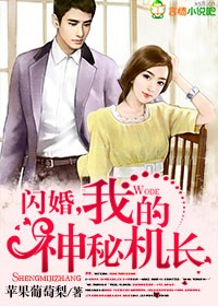 闪婚之邂逅神秘机长免费阅读