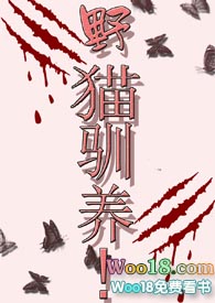 团宠马甲文里的反派女配[快穿]