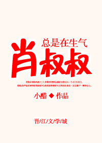 秋藏红花话语小说封面