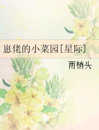 和压寨夫郎假戏真做了[女尊]