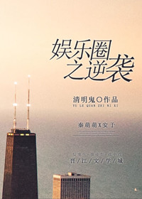 查理九世——末日空岛小说封面